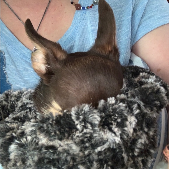 Counting sheep? 🐑 - Picture 9 of 11